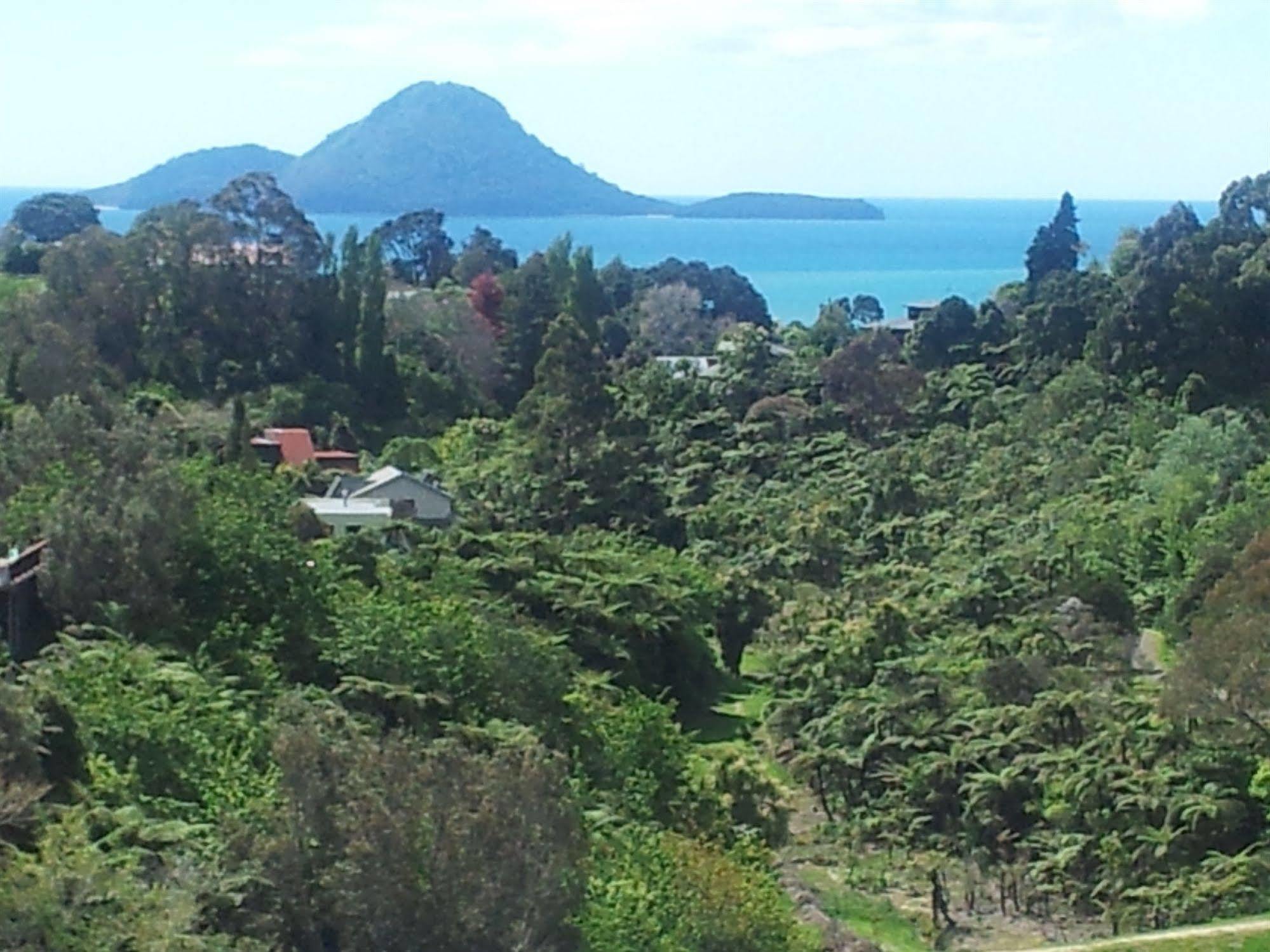 Crestwood Bed And Breakfast Whakatane Ngoại thất bức ảnh